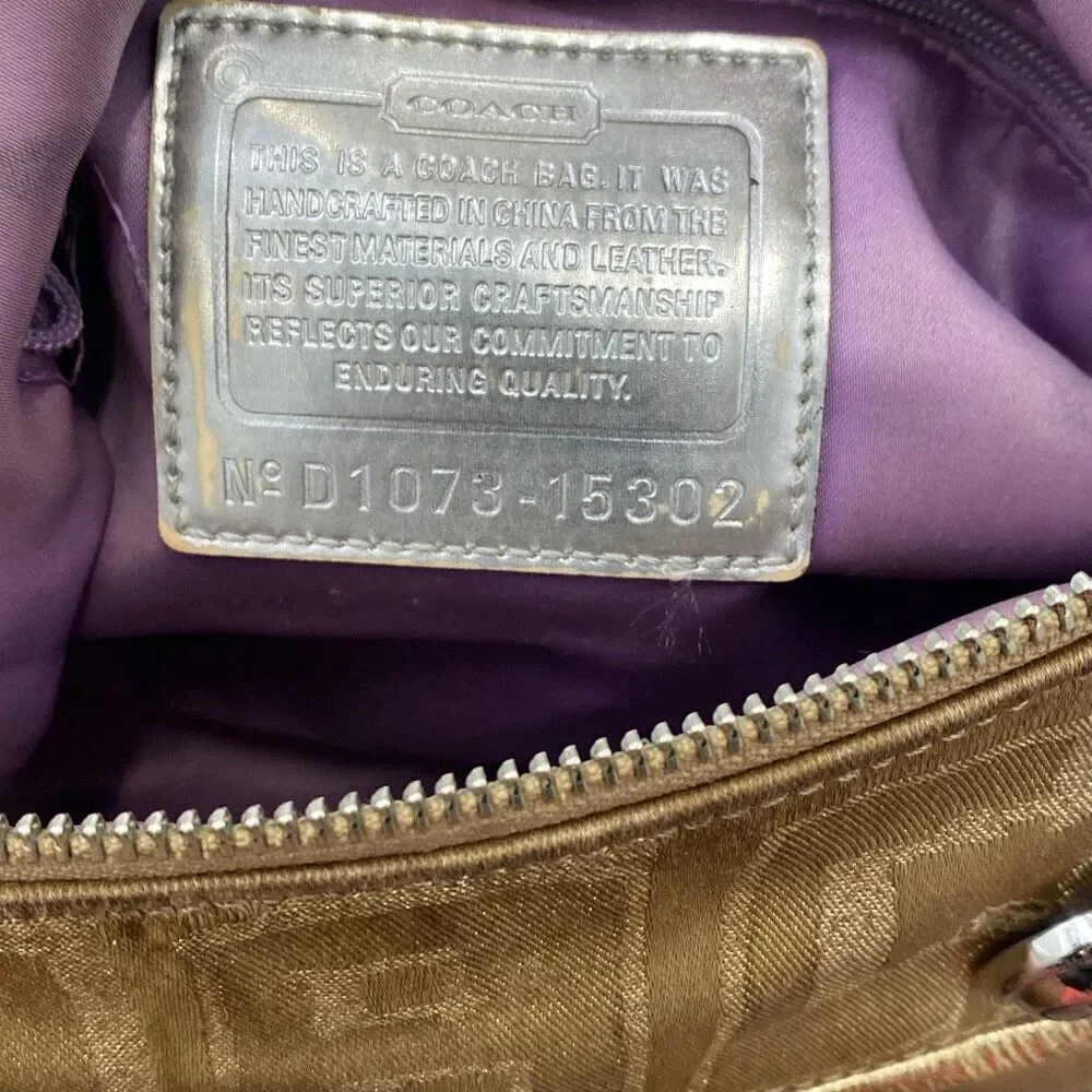 Coach Poppy Y2K small hobo bag